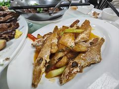 -日日香卤鹅饭店·澄海狮头鹅(澄海店)
