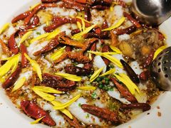-太二酸菜鱼(石家庄万象城店)