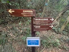 -石排湾郊野公园