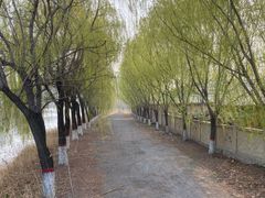 -北戴河集发农业梦想王国