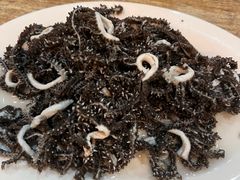 -宋记爆肚(酒仙桥店)