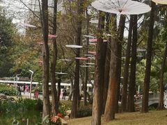 -人民公园(罗湖区)