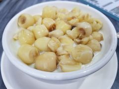 牛奶炖蛋白加莲子-黄师奶甜品店