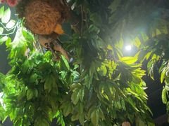 -草原塞蛮羊火锅城(港湾店)