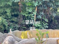 -广州动物园