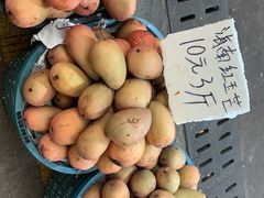 -三亚新鸿港水果一级批发市场