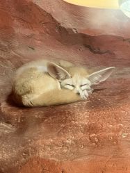 -Zoolung Zoolung动物主题公园(海信广场店)