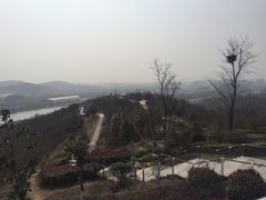 -羊山湖公园