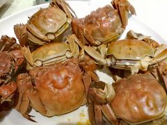 -金枝玉叶上海人家食府(三里河店)