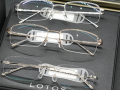 -大视光学•LINDBERG林德伯格•全球手工眼镜集合店(王府井店)