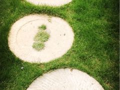 iphone_upload_pic-中国唐苑