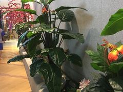-丽池宫韩式汗蒸会馆(华灯坊店)