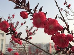 -南开大学滨海学院