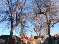 -VOYAGE COFFEE(北锣鼓巷店)