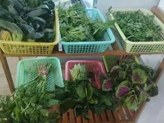 -品雅轩农家乐