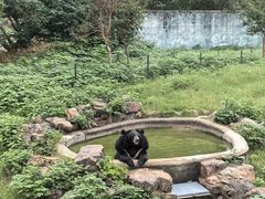 -无锡动物园·太湖欢乐园