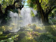 -Chom Cafe and Restaurant