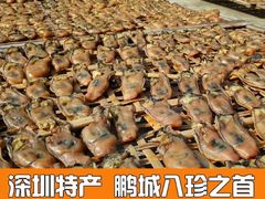 -鹏城八珍深圳特产手信(罗湖店)