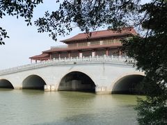 -大湾区中央湿地公园