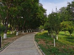 -石榴庄公园