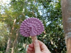 -曼听御花园