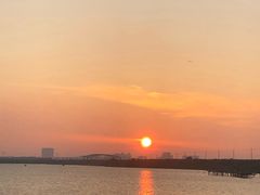 -南汇嘴观海公园