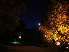 -钓鱼台国宾馆