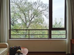 -上海市保健医疗中心