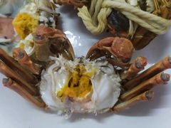 -阳澄湖大闸蟹·琼灵阁牌品牌连锁(吴中总店)