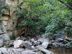 -黑龙潭风景区