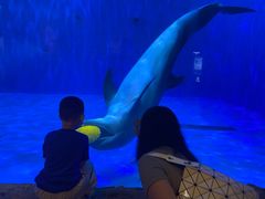 -华夏文旅海洋公园