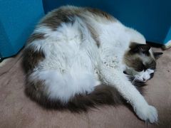 -零纪元VR体验馆·桌游(黄浦店)