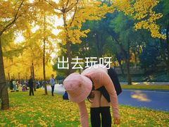 -谷咖啡·鲜花绿植花园餐厅
