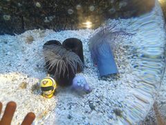 -正佳极地海洋世界