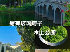 -四海公园(南山区)