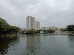 -荔湾湖公园