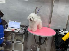 -宠福鑫康馨动物医院·骨科·眼科