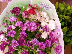 -700CC(丹东女人街店)