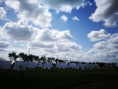 -春花秋色城市公园