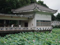 -荔湾湖公园