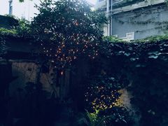 -古董花园(思南路42弄小区店)