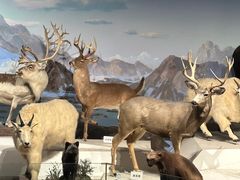 -陕西自然博物馆