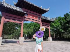 -南沙蒲洲花园