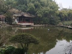 -汇龙潭