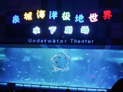 -泉城欧乐堡海洋极地世界