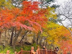 -崂山九水游览区