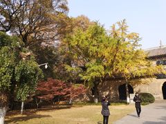 -灵谷景区