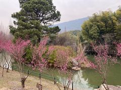 -虞山风景区