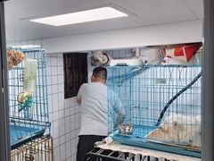 -中央商场维修(东明路店)