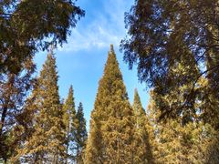 -宝岩生态观光园